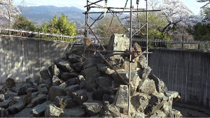 飯田市立動物園サル山　ライブカメラ