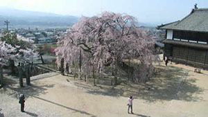 座光寺麻績の里